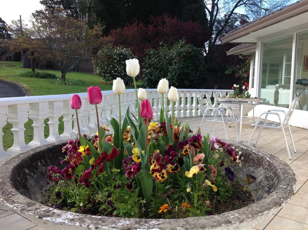 Menabillie Manor Bed and Breakfast Bowral Exterior foto