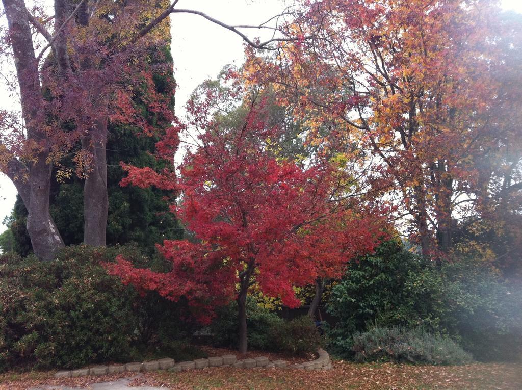 Menabillie Manor Bed and Breakfast Bowral Exterior foto